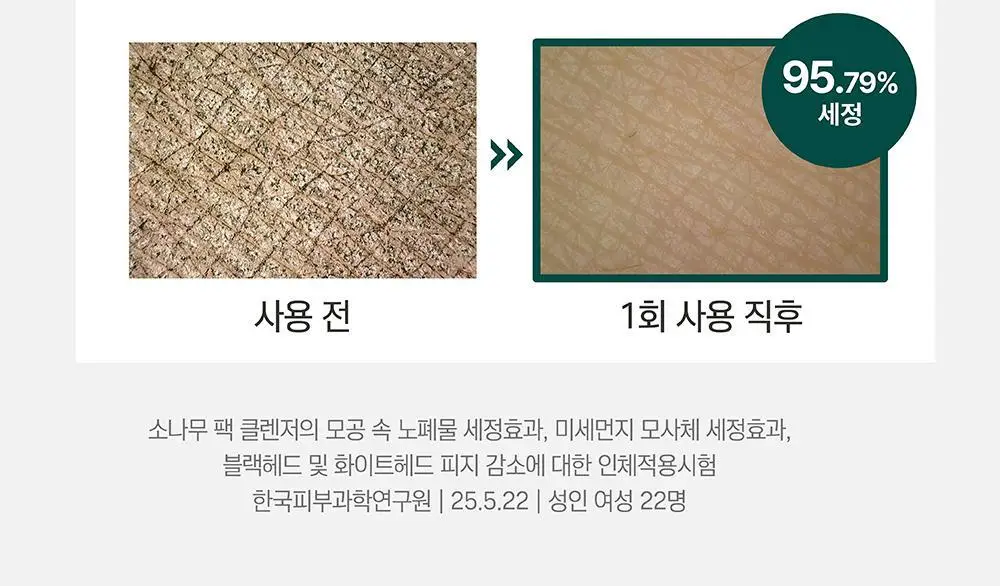 [9,900원 특가] 라운드랩 동백/소나무 팩 클렌저 150ml 기획 (+클렌징해면퍼프) 상세페이지 11